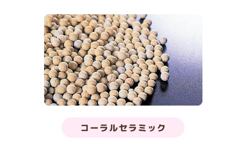 コーラルセラミック